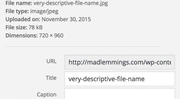Descriptive Image File Name and Title